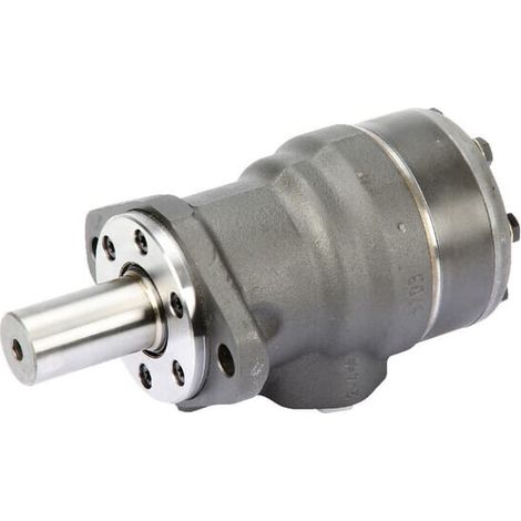 Moteur DANFOSS OMR1001510243