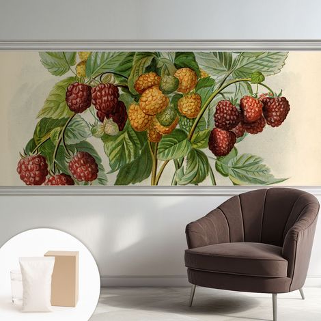 Papier peint intissé mural avec imprimé pour décoration pour salon pour chambre à coucher pour entrée Framboises classiques 250x104 cm (1/5)