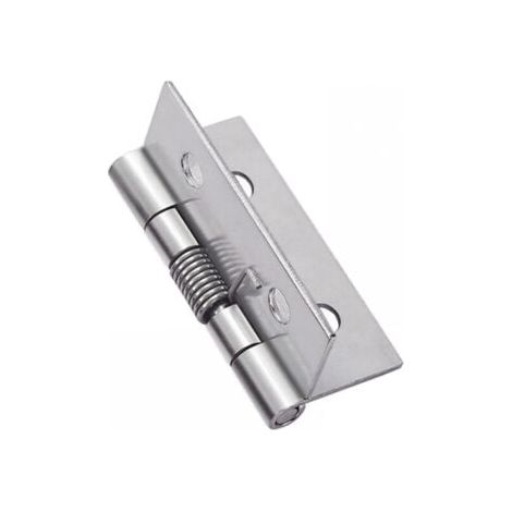 4 pièces charnières à ressort à ouverture fermeture automatique, charnières de porte à ressort en acier inoxydable 304, charnières à fermeture automatique pour portes invisibles (1/5)