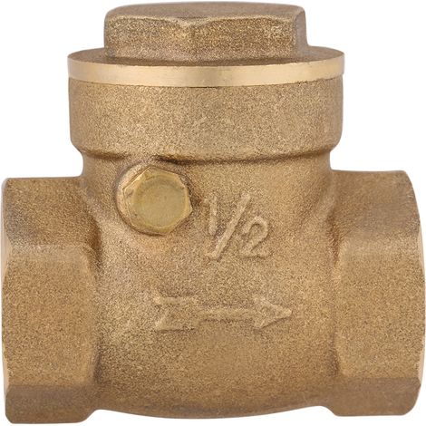 Clapet anti-retour à battant en laiton, filetage femelle DN15, 232 PSI, empêchant le refoulement d'eau. (1/5)