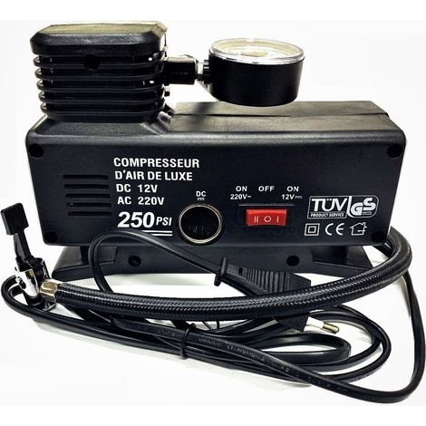 Mini Compressore Compatto Ad Aria Con Manometro Per Pneumatici DC 12V E AC 220V (1/4)