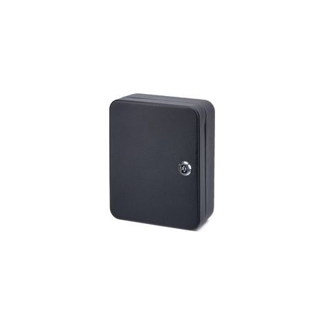 Armoire de sécurité 48 clés, verrouillable, en acier, Noir, 18P x 7.5l x 25H centimètres (1/5)