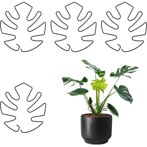 Lot de 4 supports pour plantes Monstera - Tuteurs pour plantes d'intérieur - Supports pour tiges - Supports stabilisateurs en métal pour plantes Monstera - Clips de support pour plantes grimpantes - F (1/5)