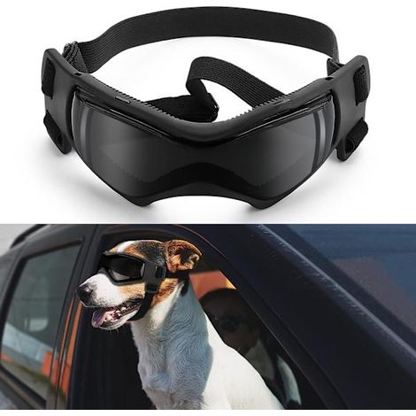Filiyano-Lunettes pour chien Ownpets, protection UV, neige, vent et poussière, avec sangle réglable (1/5)