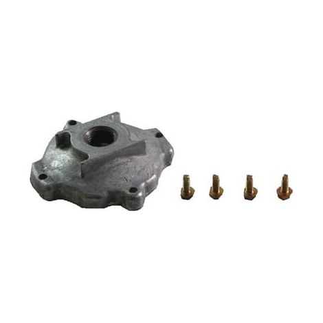 Kupplungsgehäuse 395354,212483 BRIGGS ET STRATTON 394897