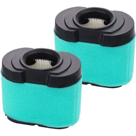Confezione da 2 per cartuccia filtro aria 792105 276890 per Briggs and Stratton 593435 593240 407777 40G777 40H777 445667 445877 44H777 Motore tosaerba Z425 GY21057 MIU 11515 MIU 11517 (1/4)
