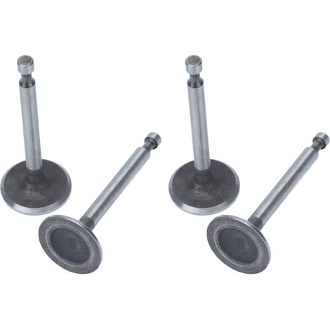 Kit de 2 soupapes moteur en acier inoxydable pour moteurs 2 kW, 2,5 kW et 3 kW 168F GX160 (1/5)