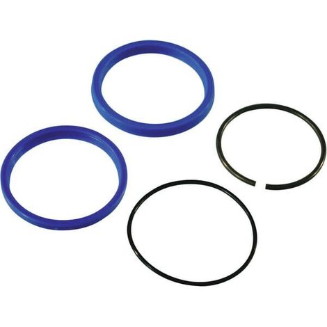Set di guarnizioni per 123198 FELLA 127526