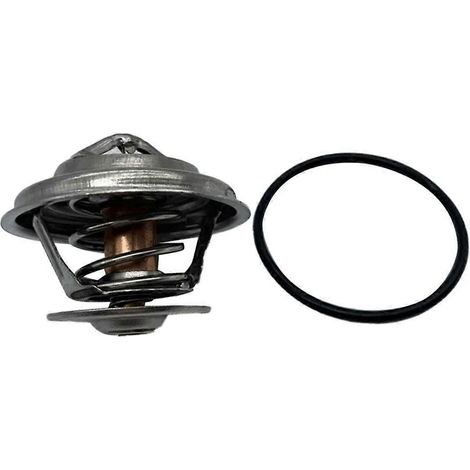Thermostat de liquide de refroidissement moteur automobile 1102000515 - Argenté (1/5)