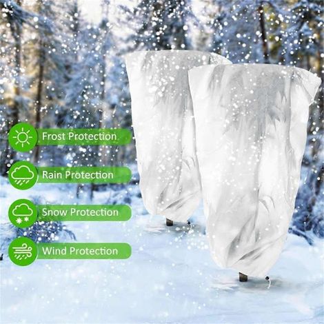 Winterliche Pflanzenabdeckung – Frostschutzsack für Bäume 240 cm x 200 cm (1/5)