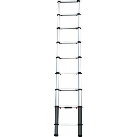 Escalera telescópico.260cm EZTEP (1/5)