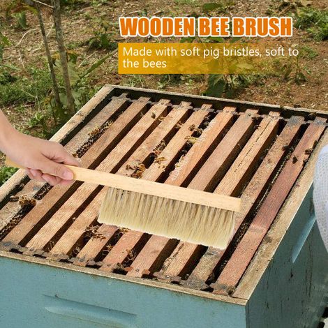 Imkerbürste aus weichen Schweineborsten, Bienenstockreinigungswerkzeug mit Holzgriff, praktische Größe für Imker (1/5)