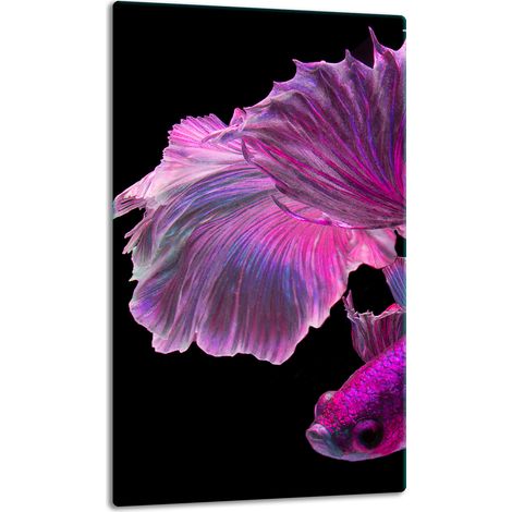 TABLERO DE MESA DE PANEL DE PLACA DE CRISTAL 30x52 PECES (1/5)