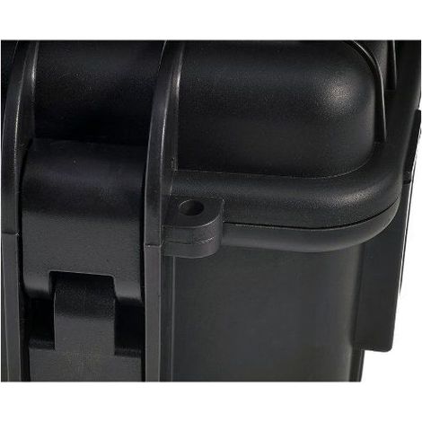 B&W 6000/B/RPD caja para equipo Maletín/funda clásica Negro (1/5)