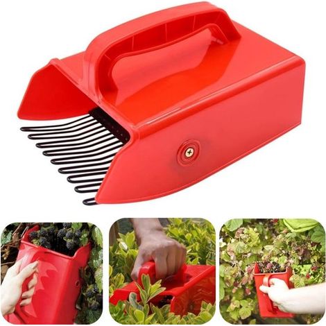 Cueilleur de fruits 22 x 7,5 cm - peigne à dents pour myrtilles et baies, rouge (1/5)