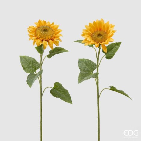 EDG Enzo De Gasperi Girasole Rex H 60 Cm Giallo