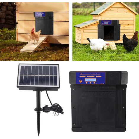 Porta automatica per pollaio con doppio ingresso, timer, LED e pannello solare - Porta elettrica nera per galline, anatre e oche (1/4)