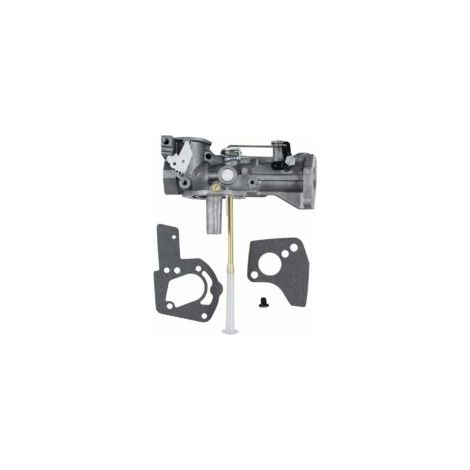 Carburador con kit de juntas para Briggs & Stratton 498298. Reemplaza las referencias 134202 y 133212. Carburador de 5 HP para Briggs & Stratton.