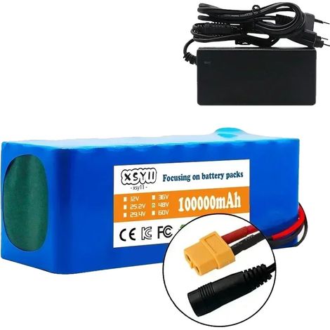 Batterie Lithium-ion, Capacité 100Ah, Tension 48V, XT60-DC (1/2)