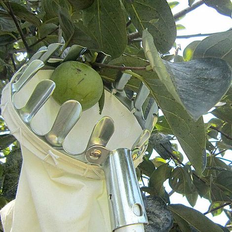 TRIOM Outil de Cueillette de Fruits,Cueilleurs de Fruits Outils de Cueillette de Jardinage Métal Cueille-Fruits avec Sac de Collecte pour la Récolte de Pommes, Agrumes, Poires, Pêches, Outils de Jardi (1/5)