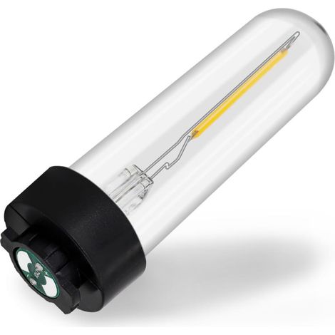 Beyamis Ampoule LED filament 3V - Blanc chaud 3000K IP65 extérieur (1/5)