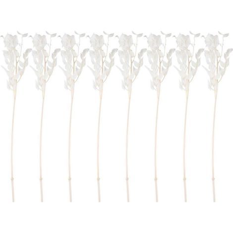 Fleurs de ruscus séchées de 45 cm, stabilisées à vie, pour la décoration florale à faire soi-même, bouquet de fleurs séchées pour mariage et décoration intérieure (1/5)
