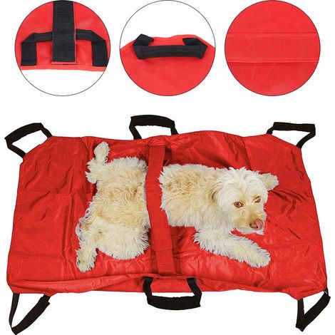 Brancard de transport d'urgence pour animaux de compagnie, chiens, capacité de charge maximale de 110 kg (242 lb), pliable. (1/5)