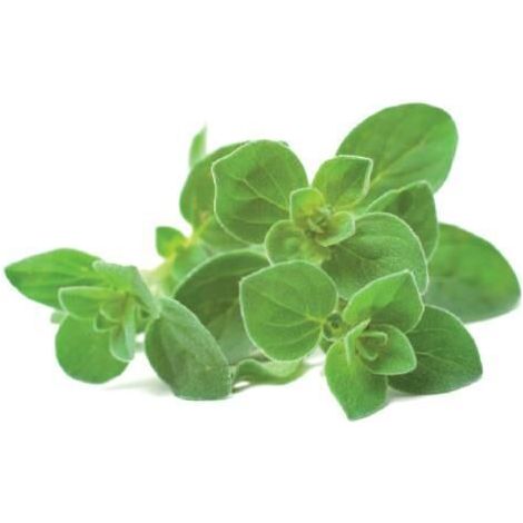 Graines click-and-grow oregano refill auto arrosage bio 3 pcs (1/2)