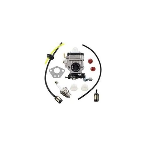 Kit de carburateur pour Florabest FBS 43 A1, FBK 4 B2 4 en 1 \\\\\\\\/ Parkside PBK 4 A1, PBS 2 A1 Débroussailleuse (1/5)