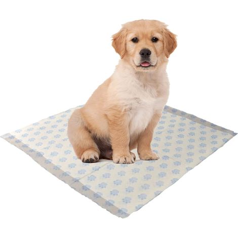 75 x 40cm x 50cm Dog & Puppy Toilet Training Leak Proof Pads