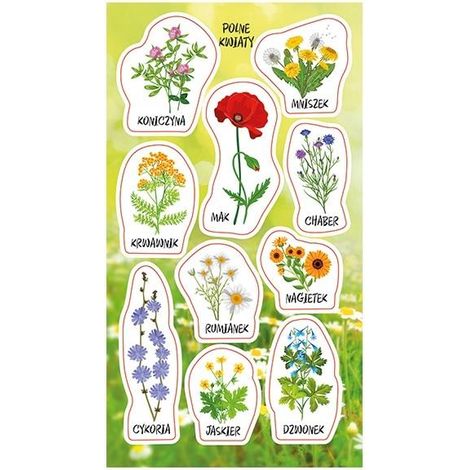mañana 88959 Pegatinas de flores silvestres (1/2)
