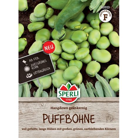 Sperli Puffbohnen Hangdown grünkernig - Gemüsesamen (1/2)