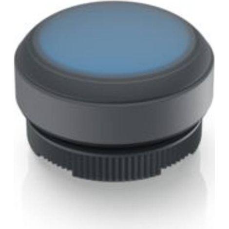 RAFI 1.30.270.005/2601 RAFIX 22 FS Pulsante illuminato Momentaneo (L x L x A) 29.8 x 29.8 x 20.7 mm 1 pz.