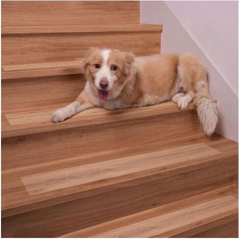 Tapis de Marche Tapis Antidérapant Transparent Anti Derapant Tapis Escalier- Diamant Antidérapante Moquette pour Marches en Bois Anti Glisse Tapis, Lot de 15 Bandes, 10 x 60 cm (1/5)