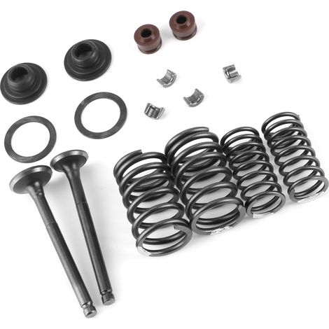 Kit de 16 ressorts de soupapes moteur, finition métal poli, compatible avec les moteurs GY6 50, 60, 80, 100, 125 et 150 cm³. (1/5)