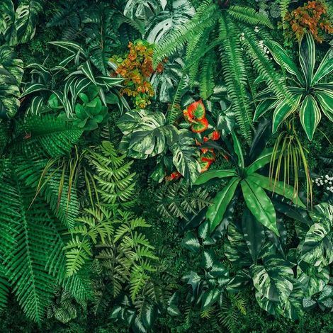 papier peint panoramique feuilles de la jungle vert  - Sanders & Sanders (1/5)