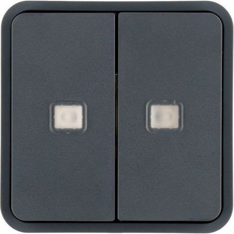 Enjoliveur poussoirs 2 touches à voyants Cubyko KNX gris (WNT954)