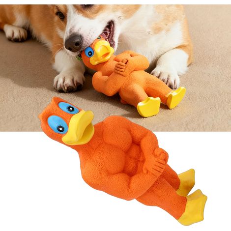 Jouet à Mâcher pour Chien en Silicone Indestructible Forme Musclée avec Couineur pour Chiens Moyens et Grands Anti-Ennui (1/4)