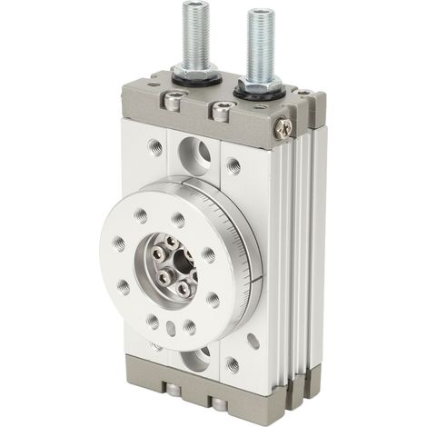 Vérin pneumatique rotatif 0-190° réglable en aluminium robuste étanche, cylindre rotatif 20A haute résistance (1/5)