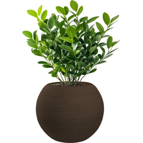 Vaso in resina da esterno interno per piante tondo a sfera di design d.40x33h Botticelli Marrone (1/4)