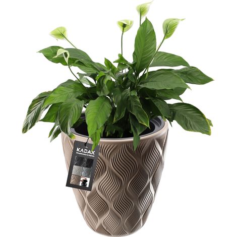 KADAX Macetero con tapa, color beige, 32,5 cm (1/4)
