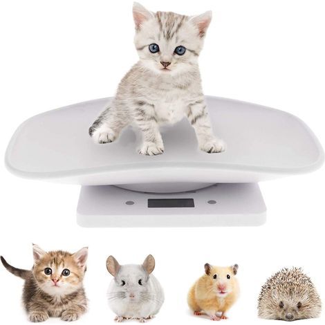 Balance Électronique pour Animaux de Compagnie, Petit Balance Numérique, 10kg/1g Écran LCD Balance Précision Mesure Outil Pesage pour Cuisine Chaton Chiots Tortue Hamster (1/5)