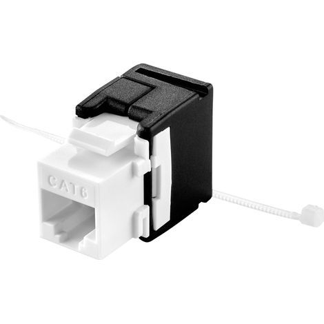 MODULE RJ45 ENCASTRABLE RENKFORCE RF-4538242 KEYSTONE CAT 6 1 PC(S) (1/4)