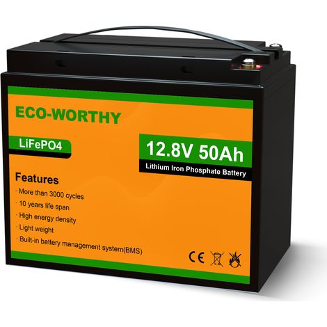 ECO-WORTHY Batterie au lithium 12V 50Ah LiFePO4 rechargeable avec cycle plus de 3000 fois et protection BMS pour systeme solaire, bateau, kit de panneau solaire, camping-car, caravane (1/5)