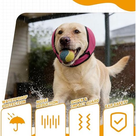 Dog Earmuffs, Ear Muffs (1/4)