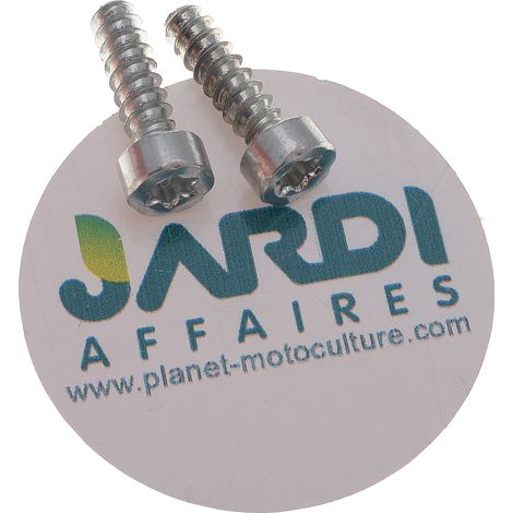 Jeu de 2 vis de serrage P5x18-T27 remplace 9074 478 4135 (1/3)