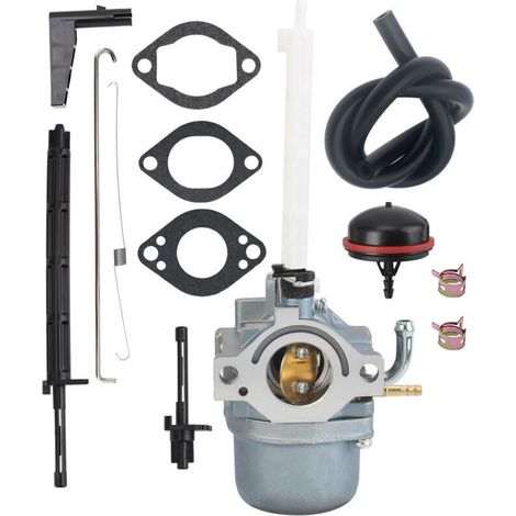 Ersatzvergaser für Briggs & Stratton Schneefräse - Kompatibel mit NIKI Teilenummer 793784 und Schneefräsenmodell 796122 (1/4)