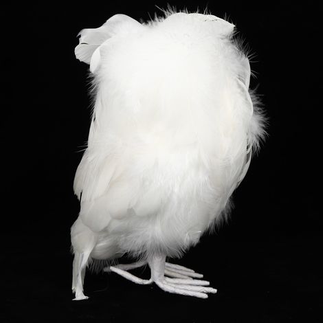 Décoration Craft Owl Artificielle Simulée Blanche: Ornement Féminin DIY pour Maison, Fête, Mariage (1/5)