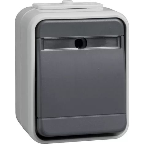 ELSO Taster 442129 10A AquaTop licht/basaltgrau (1/2)