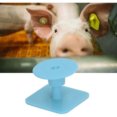 100 Sets/Verkäufer von gewöhnlichen und einfachen Schweineohrmarken, quadratischen Schweineohrmarken, veterinärmedizinischen Schweineohrmarken, blau. (1/5)